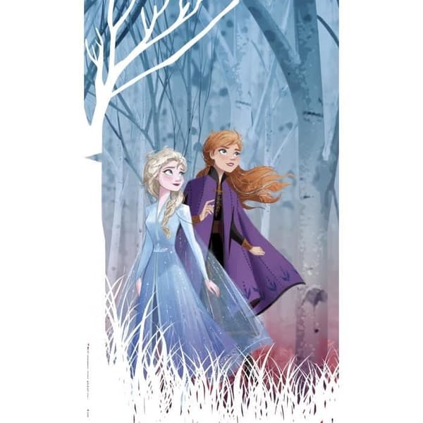 Gardiner - Disney Frozen 2 - ritmodell - 2 st 90 cm x 160 cm