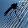 Miniatyrbild 3 av 4: Myggnät för fönster mot insekter Svart