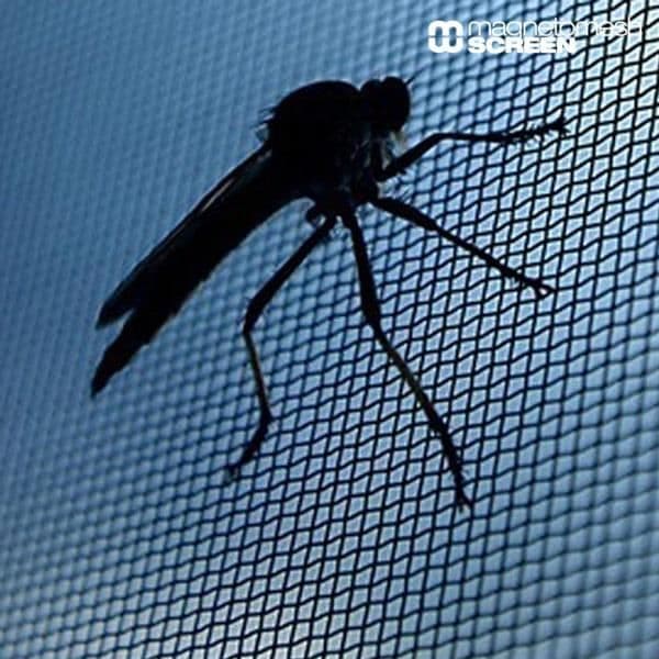 Myggnät för fönster mot insekter Svart