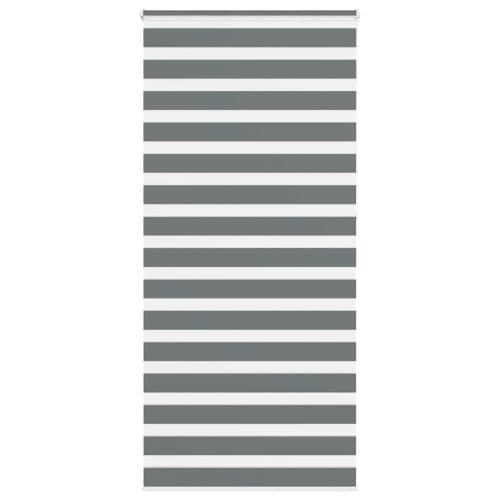 Rullgardin zebra mörkgrå 100x230 cm tyg bredd 95,9 cm polyester