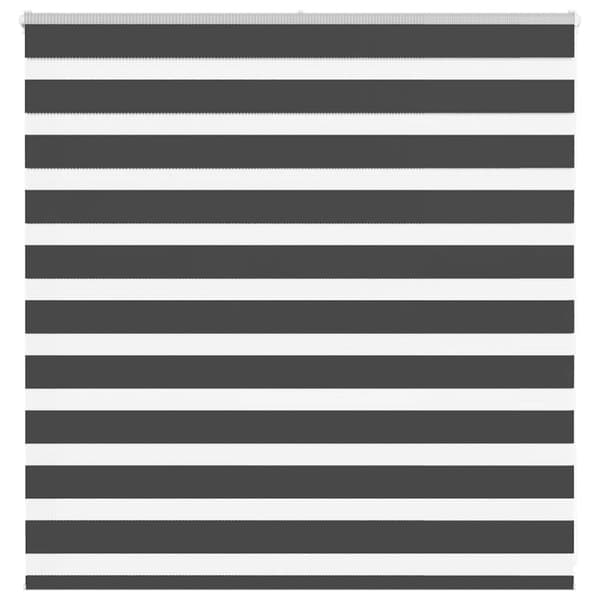 Zebra rullgardin svart 150x100 cm tyg bredd 145,9 cm polyester