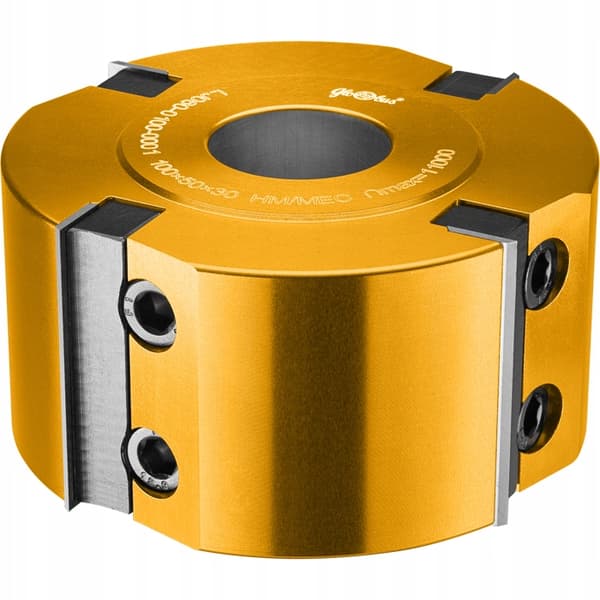 GLOBUS høvlhoved 100x30x4Z H50