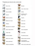 Miniatyrbild 2 av 2: Ruko skärblad - 3218002 - Paket med 5 Sierras de calar HCS acero 100 mm (Equivalencia Bosch T 101 DP)