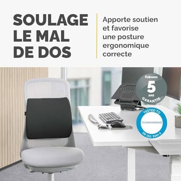 Ergonomisk Ryggkudde - FELLOWES - Breyta - Justerbar Rem - Miljöansvariga Material - Bärbar