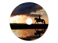 Miniatyrbild 1 av 5: Verbatim - 25 x DVD+R DL - 8.5 GB 8x - bred utskrivbar yta - spindel