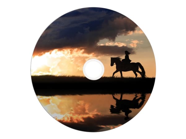 Verbatim - 25 x DVD+R DL - 8.5 GB 8x - bred skrivbar overflate - spindel