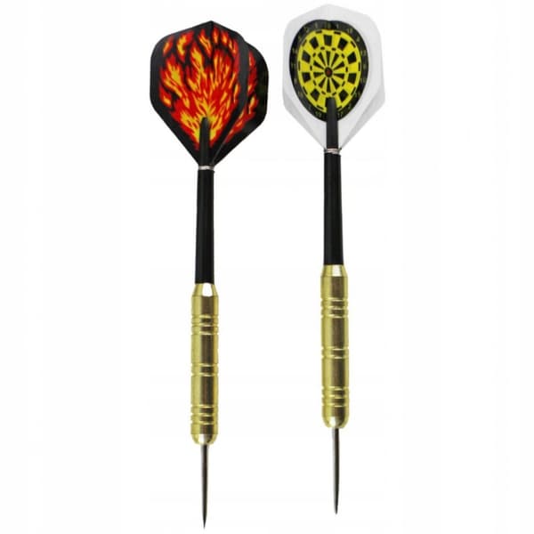 Darts MASTER Darts 16 g (100 kpl) teräväkärkisellä