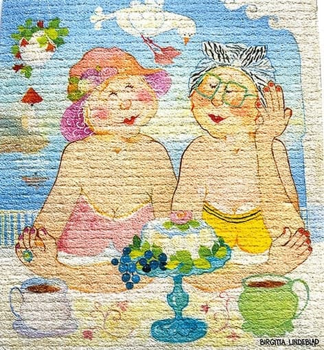 Dishcloth On The Porch Birgitta Lindeblad