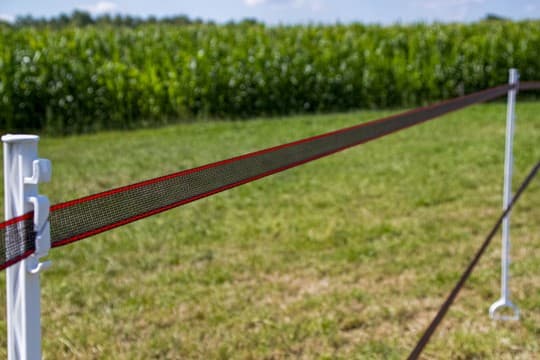 ZoneGuard 40 mm Plus hegnsbånd brun 200 m