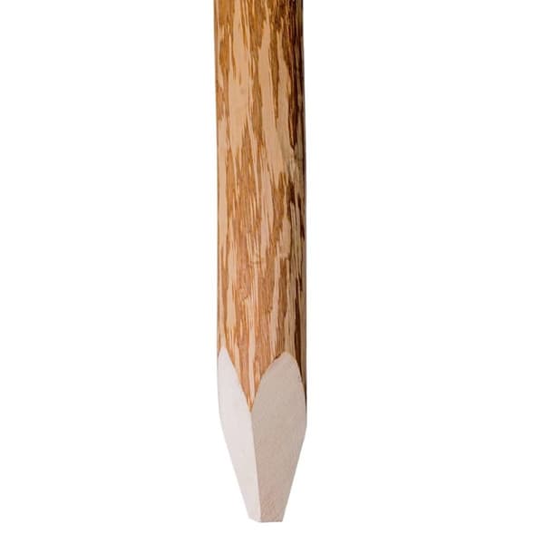 Staketstolpar spetsiga 4 st hasselträ 90 cm