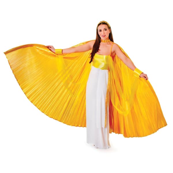 Bristol Novelty Womens Theatrical Wing Costume Gold One Size