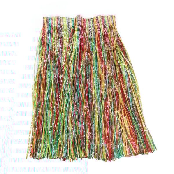 Bristol Novelty Unisex Adults Budget Grass Skirt Multicoloured One Size