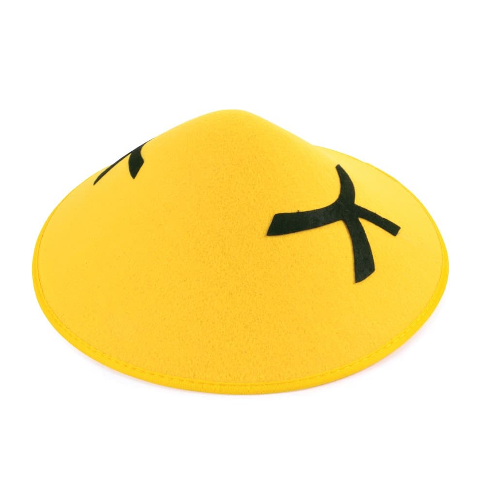 Bristol Novelty Unisex vuxen filt Coolie Hat