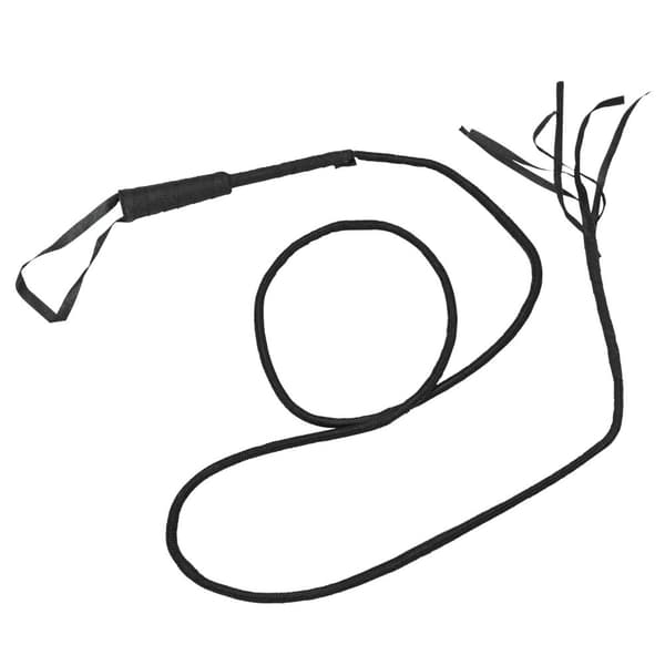 Bristol Novelty Fake Bull Whip Black One Size