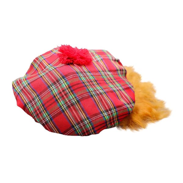 Bristol Novelty Unisex Adults Scots Tartan Hat And Hair Multicoloured One Size