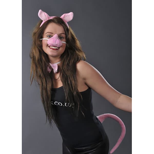 Bristol Novelty Unisex Pig Fancy Dress Accessories Set With Sound