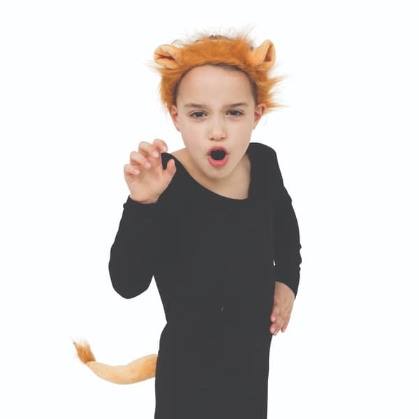Bristol Novelty Childrens/Kids Lion Ears And Tail Accessories Set