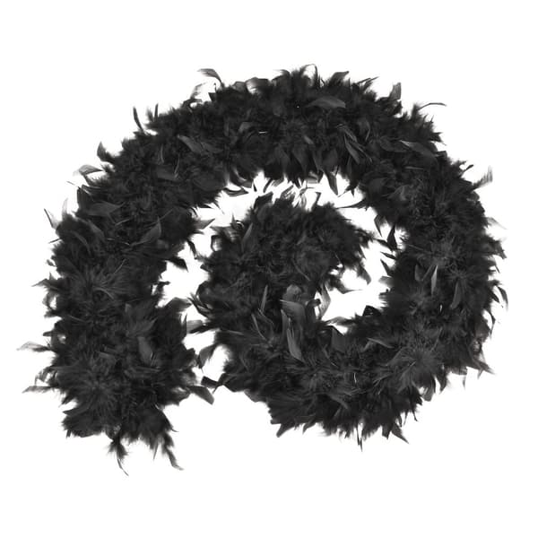 Bristol Novelty Unisex Adults Budget Feather Boa Black One Size