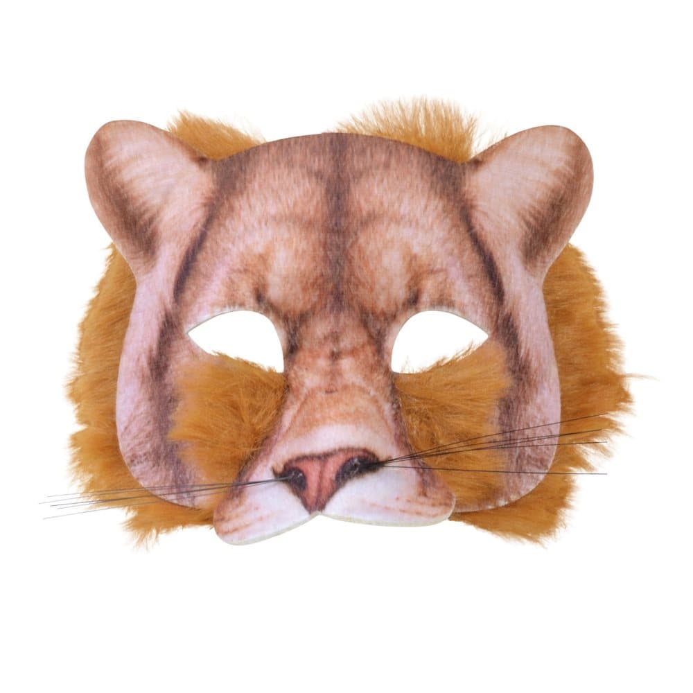 Lion Mask Ideas