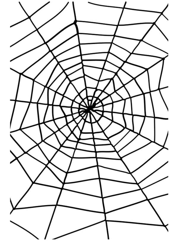 Svart spindelnät