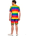 Miniatyrbild 4 av 4: Opposuits Regnbåge Kostym