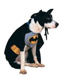 Miniatyrbillede 2 af 2: Batman jakke til hunde