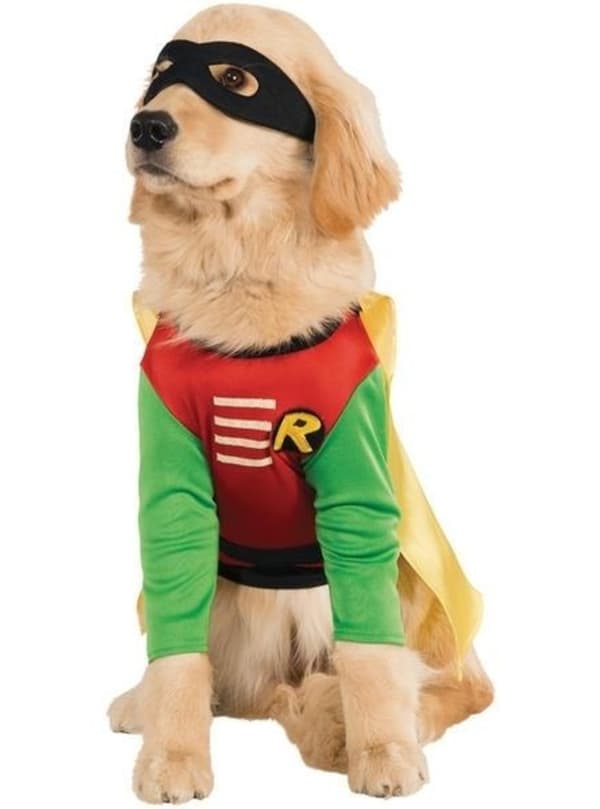 Teen Titans Go! Robin kostume til hunde