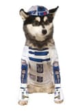 Miniatyrbillede 2 af 2: R2D2 kostume til hunde