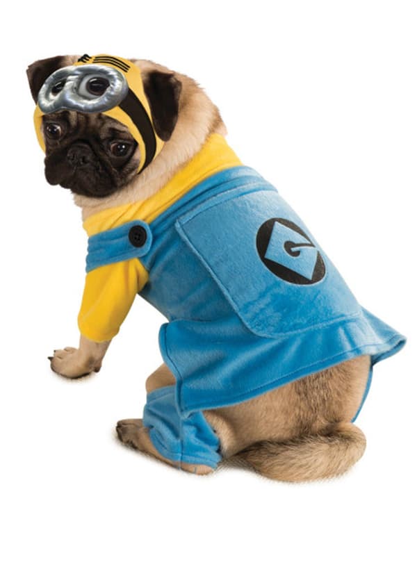 Minion kostume til hunde