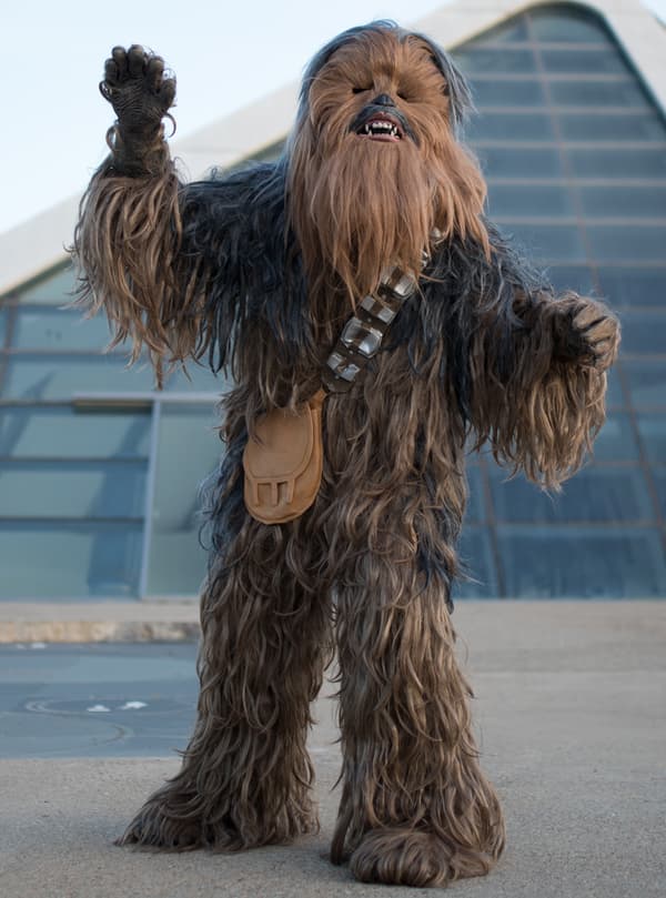 Chewbacca Supreme kostume