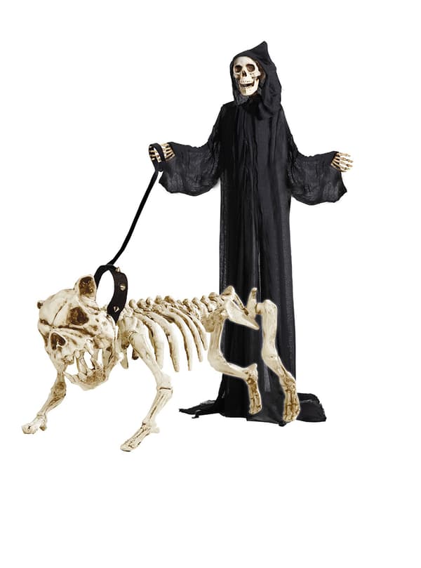 Hund skelett med koppel