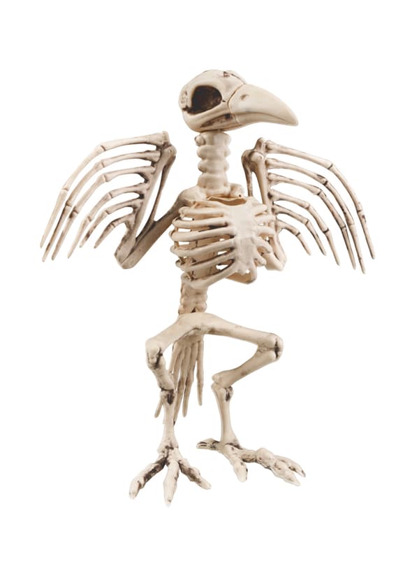 Dekorationsfigur Kråkskelett