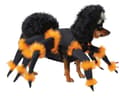 Miniatyrbillede 6 af 6: Edderkoppekostume til hunde