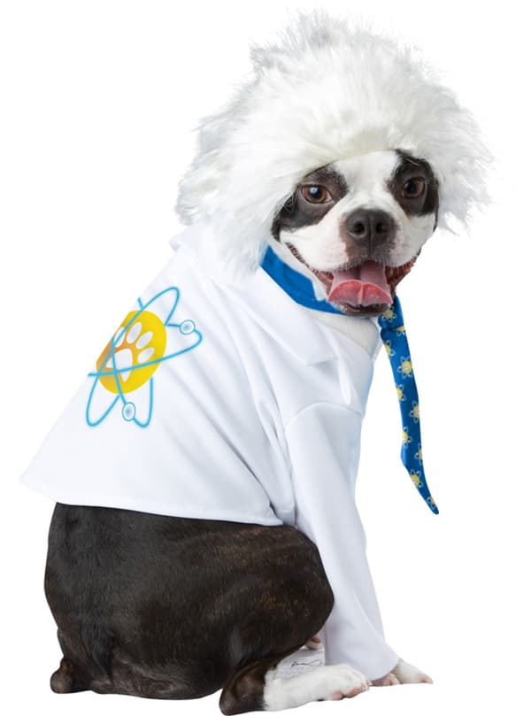 Einstein Maskeraddräkt för hund