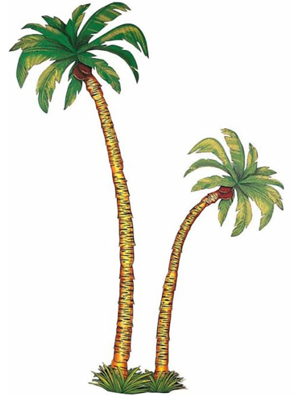 Dekorativa palmer