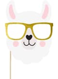 Miniatyrbillede 2 af 6: 5 Photo Booth rekvisitter - Llama Party