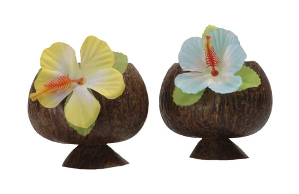 Hawaii kokosmugg