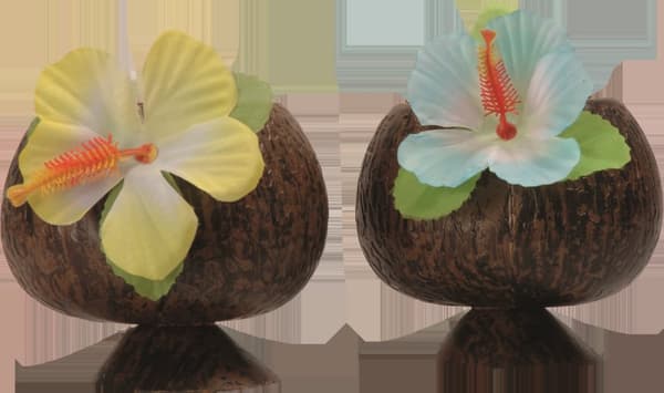 Hawaii kokosmugg
