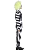 Pikkukuva 3 / 9: Beetlejuice Asu