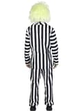 Pikkukuva 4 / 9: Beetlejuice Asu