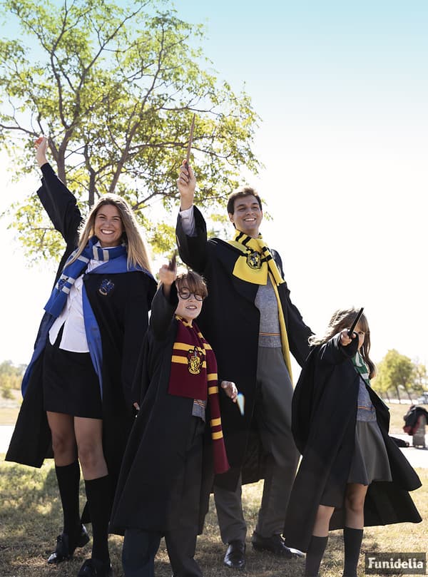 Harry Potter Korpinkynsi  Asu