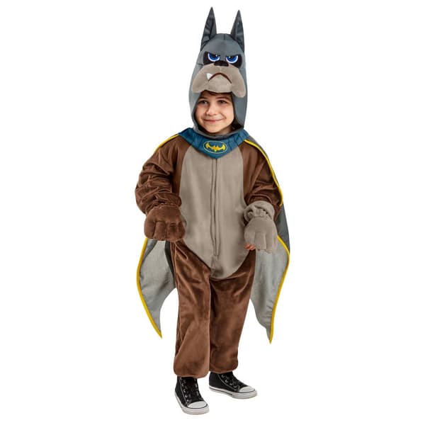 DC League Of Super-Pets Childrens/Kids Ace Costume Brown/Grey 3-4 Years