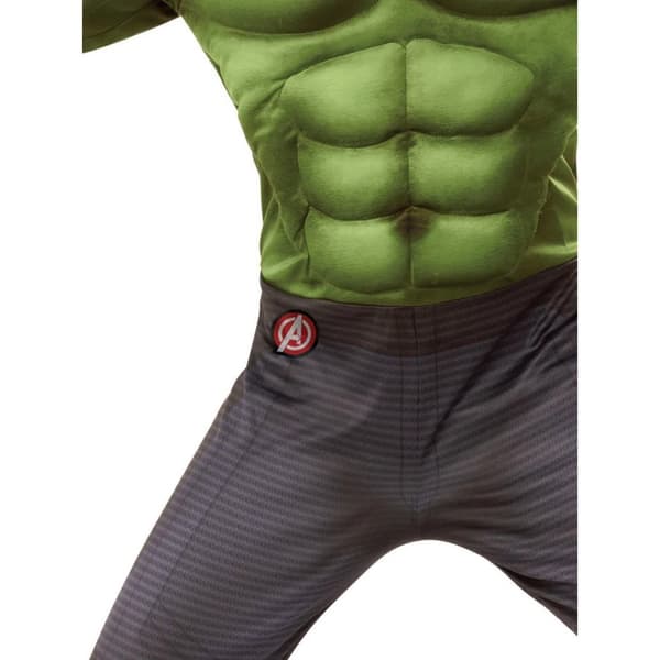 Hulk Boys Deluxe Costume