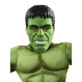 Miniatyrbilde 4 av 4: Hulk Boys Deluxe Costume