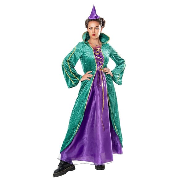 Bristol Novelty Häxdräkt för kvinnor/damer Green/Purple L