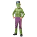 Miniatyrbillede 1 af 3: Hulk Kostume til børn/unge