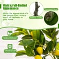Miniatyrbillede 6 af 8: Kunstig citrontræ, 4 ft, Grøn+Gul+Sort