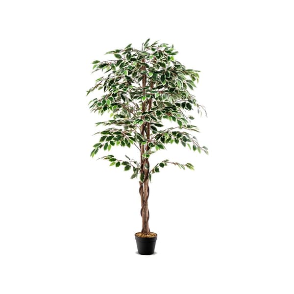 Kunstig Ficus Træ, 65x7x6 tommer, Grøn