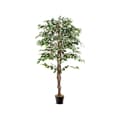 Miniatyrbillede 3 af 8: Kunstig Ficus Træ, 65x7x6 tommer, Grøn