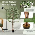 Miniatyrbillede 6 af 8: Kunstig Ficus Træ, 65x7x6 tommer, Grøn